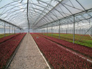 image09