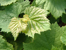image09